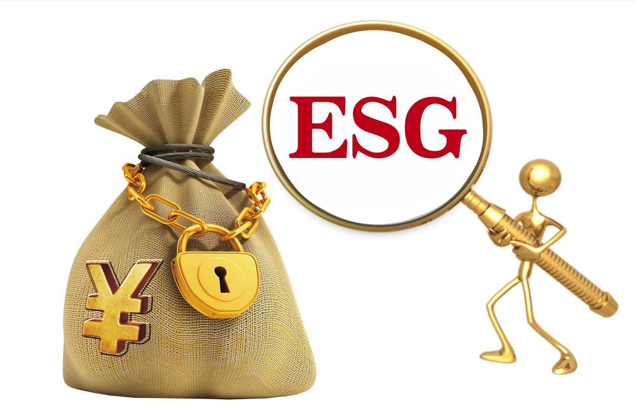 ESG分析师到底在分析什么：从"写报告"到"建系统"的能力跃迁